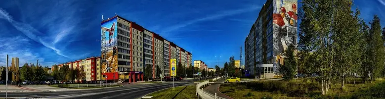 113.webp