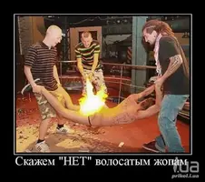675281-1.webp