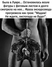 f318886e5fa57fd58554d5933b0abe9d.webp