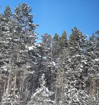 20210207_155357.webp