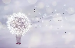 legkaja-zhizn-zhenshhiny.webp