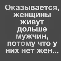 IMG-3343a9b070b6b2a6e767801d0f02fe11-V.webp