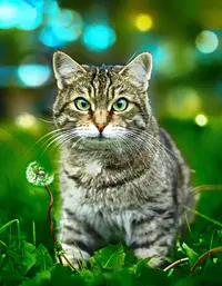 3-qHzP_acWQuM.webp