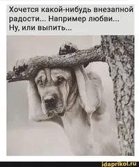 IMG-1d8c498e9b5766f34b29474becc565f4-V.webp