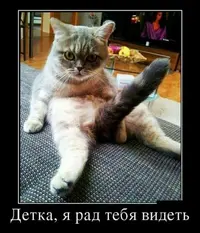 1485350858160421874.webp