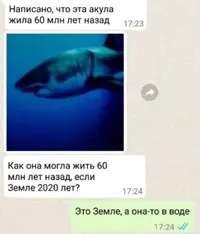 1612812000115849774.webp