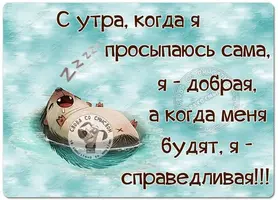 6062098ae77c02b95353952f0afc35b5.webp