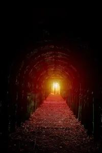 1151679295.webp