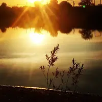 IMG_20200920_225656_838.webp