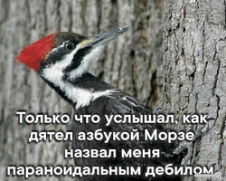 1612586098122231628.webp