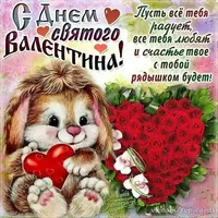 s-dnem-sv-vslent-19-8.webp