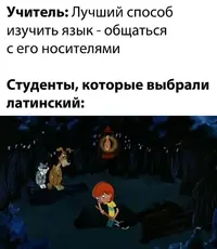 1606054388170158533.webp