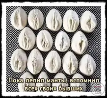 WTBR3Jrx6B4.webp