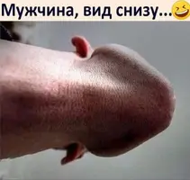 IMG-a9627a2a9807448a69e7c493310ac300-V.webp