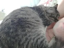 1613455797965159622810.webp