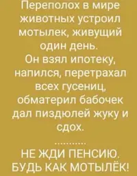 20210217_213842.webp