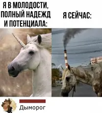 J2l8UbcXSVE.webp