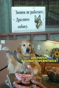 1558953360-pressa-tv-mem-13.webp