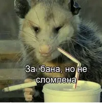 C20DF513-143A-4D07-9DED-2853B3F003EA.webp