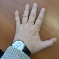 h1.webp