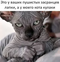 e9d624882044d8327333541eb56aa644.webp
