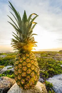 pexels-photo-137119_compress64.webp