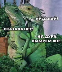 sFf65z1acg.webp
