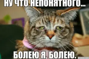 2021-02-23-23-46-33.webp