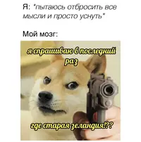 1614243941138865949.webp