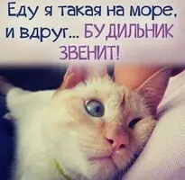 0B79BE3D-BA03-4636-A878-A2801911FDAC.webp