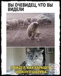 OBrGujX2NlA.webp