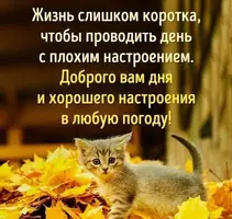 b607a4ec5f7ef156b6fbbd6d92b058bc.webp