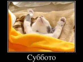 demotivator_sybbota-320x240.webp