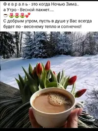 IMG_20210227_124739.webp