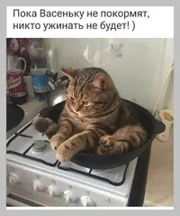 611e29906cf9560a7121f36cba90c451.webp