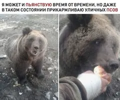 1588330804182279770.webp