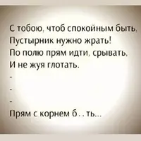 1595108520132144811.webp