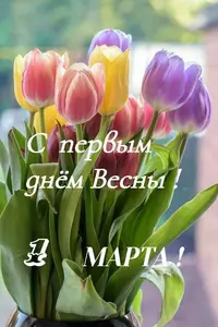 205c7333126fd0ae8708e237c41c37c9.webp