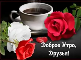 IMG-20210212-WA0005.webp