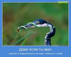 a817496243ee17a1d6bf46d43d6c527a.webp