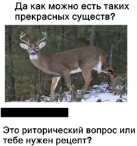 ET4preE_iYA.webp