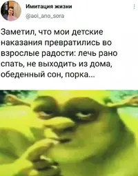 15312673.webp