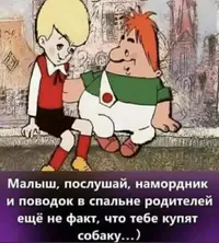 15301883.webp