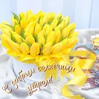 IMG-20210304-WA0003.webp
