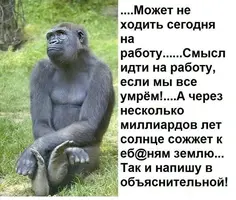 photo_1494850084.webp