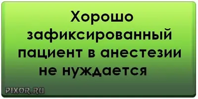 wpid-7770164_2204331.webp