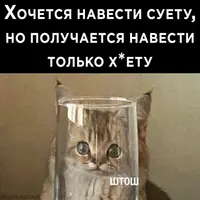 jEQ7HuoQT_I.webp