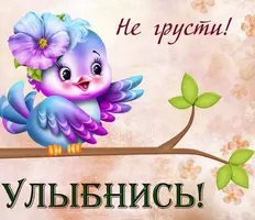 kartinki-ne-grusti-22.webp