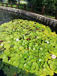 IMG_20190731_154124.webp