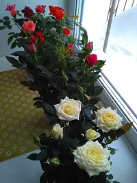 WhatsApp Image 2021-03-06 at 17.35.47.webp